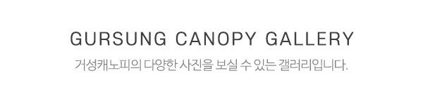 거성캐노피_시공사진_제목